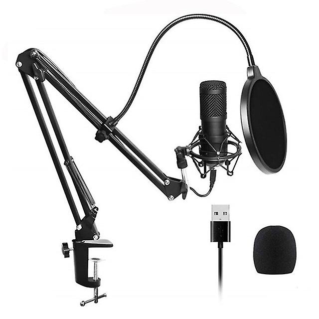 192Khz/24bit High Sampling Rate Usb Condenser Microphone Computer Game Recording Usb800 Microphone Set