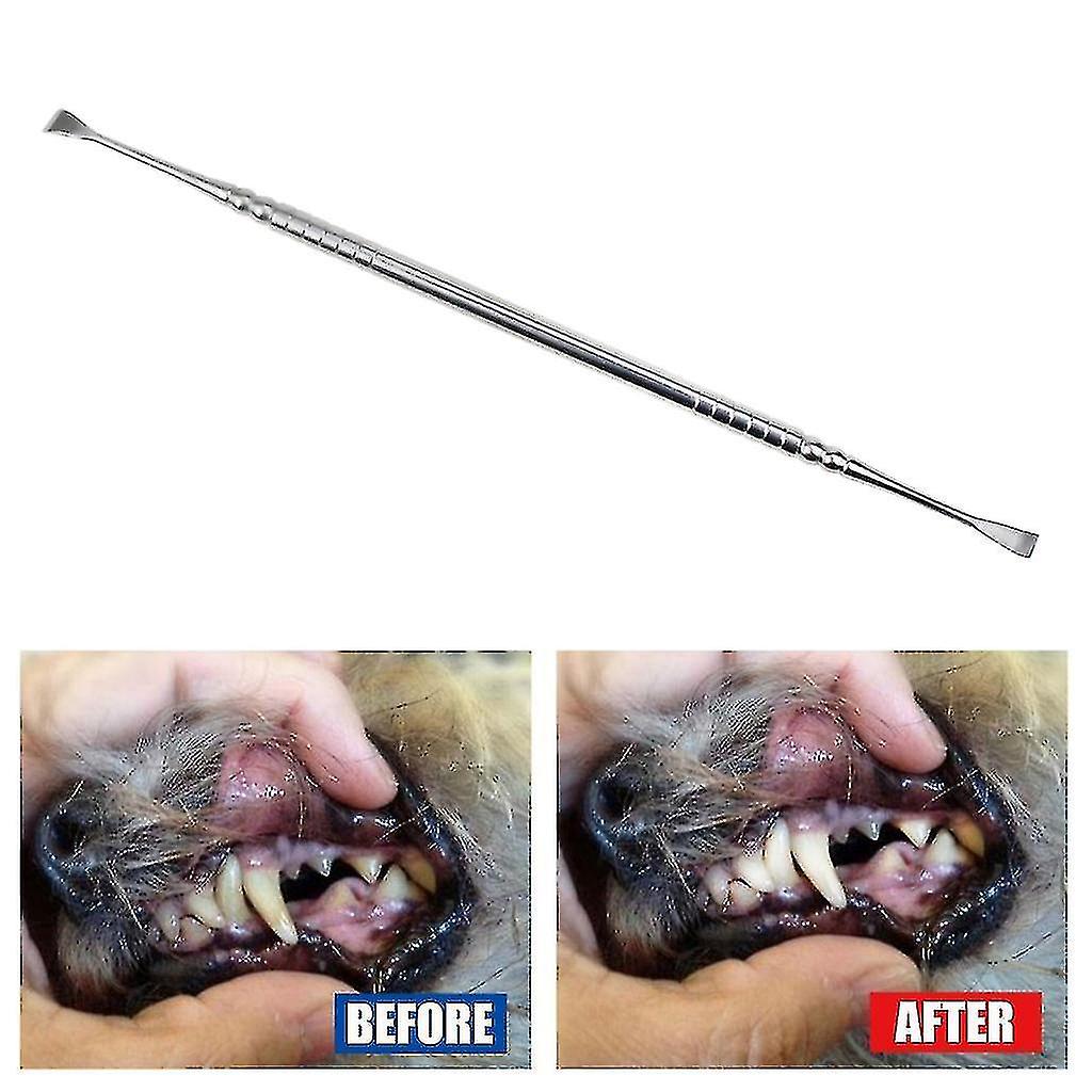 Pet Teeth Cleaning Tools 7 Inch Double Head Tarter Plaque Remover Tool