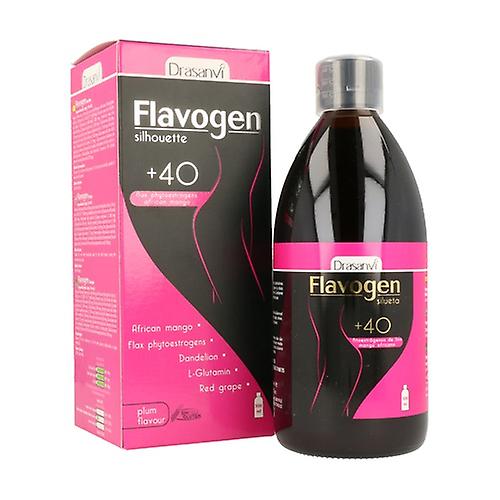 Flavogen Silhouette 500 ml