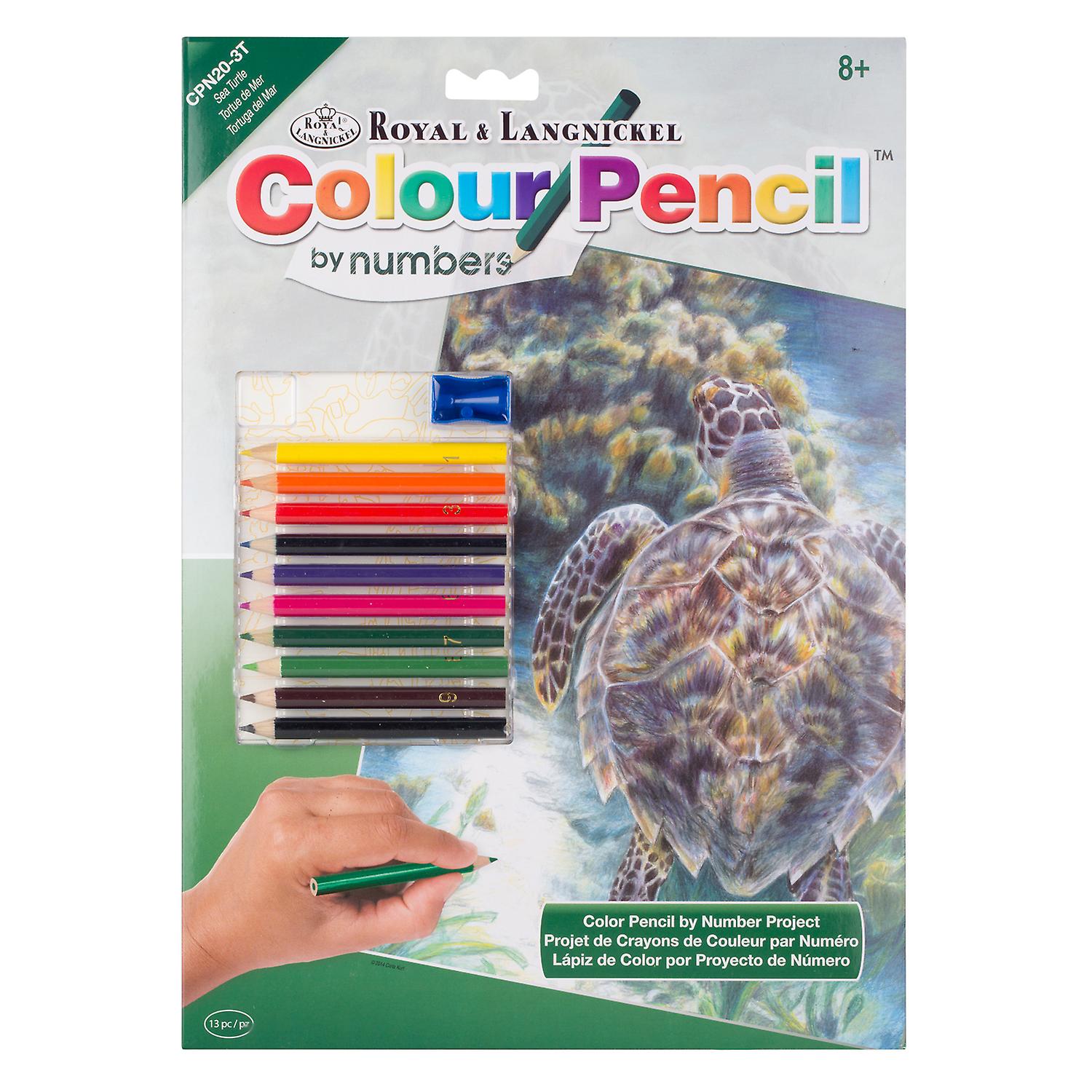 Farve blyant efter nummer Kit - Havskildpadde