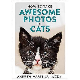 How to Take Awesome Photos of Cats