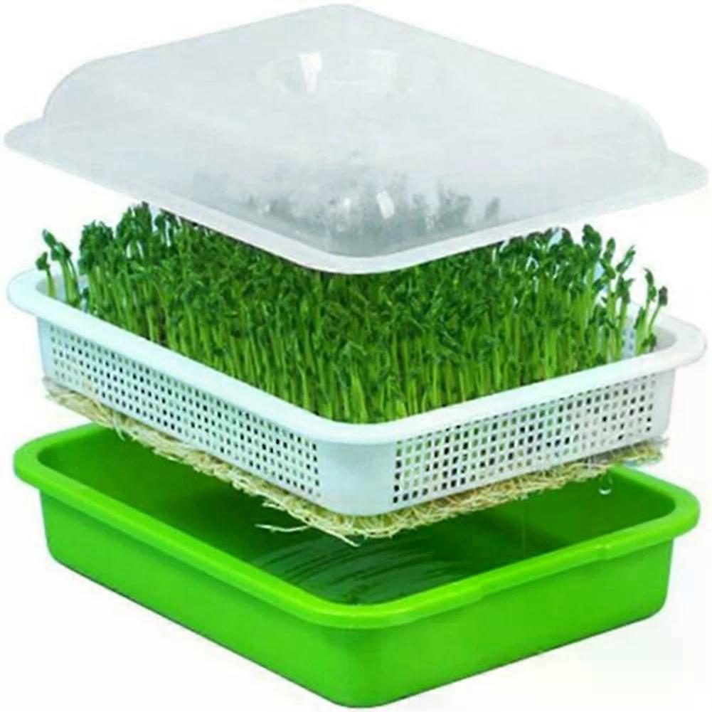 Sprouting Tray Double Layer Pea Mung Bean Peanut Sprout Plate Sprouter Cat Grass Soilless Planting Pot