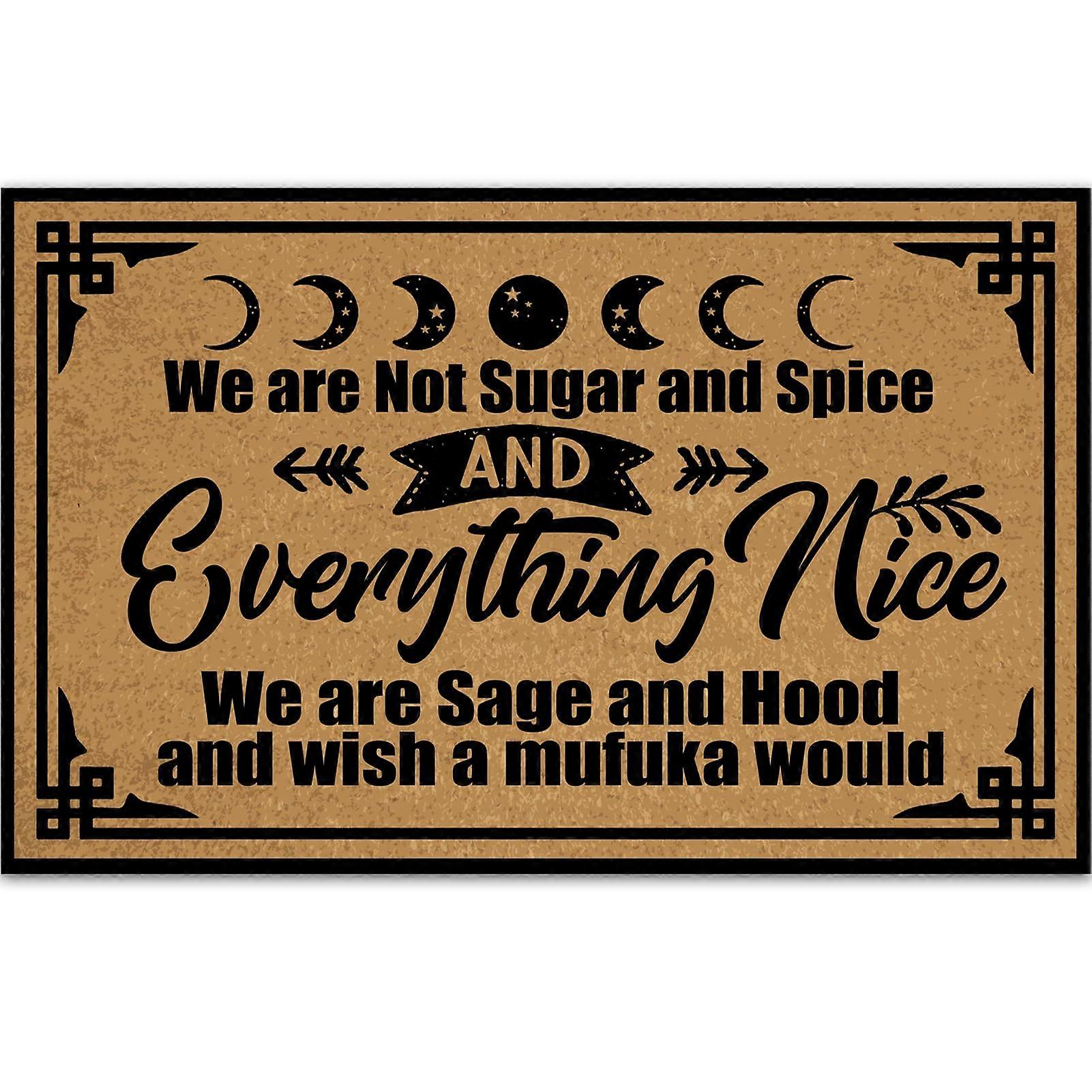 Funny Outdoor Doormat with Non Slip Rubber Backing, Weather Resistant Front Door Welcome Mat