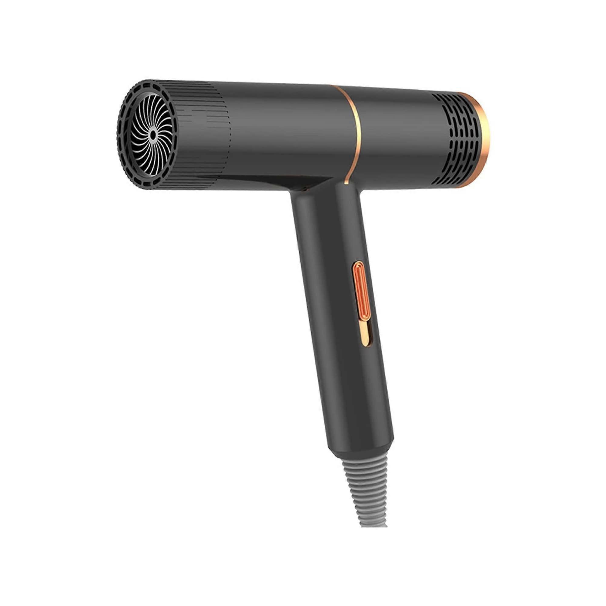 Professional Ionic Hair Dryer with Powerful Motor, Fast Drying and Intelligent Temperature Control, Black