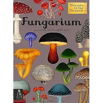 Fungarium: Willkommen im Museum (Willkommen im Museum)