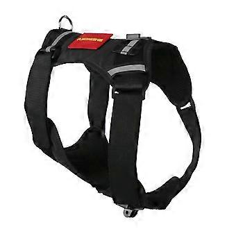 Soft-Cushion Dog Camera Harness Kit