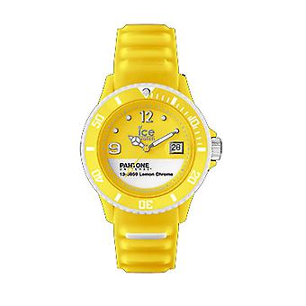 Pantone universe(tm) Watch for Unisex Analog Quartz with Silicone PAN bracelet. Bc. Lec. U.S.13