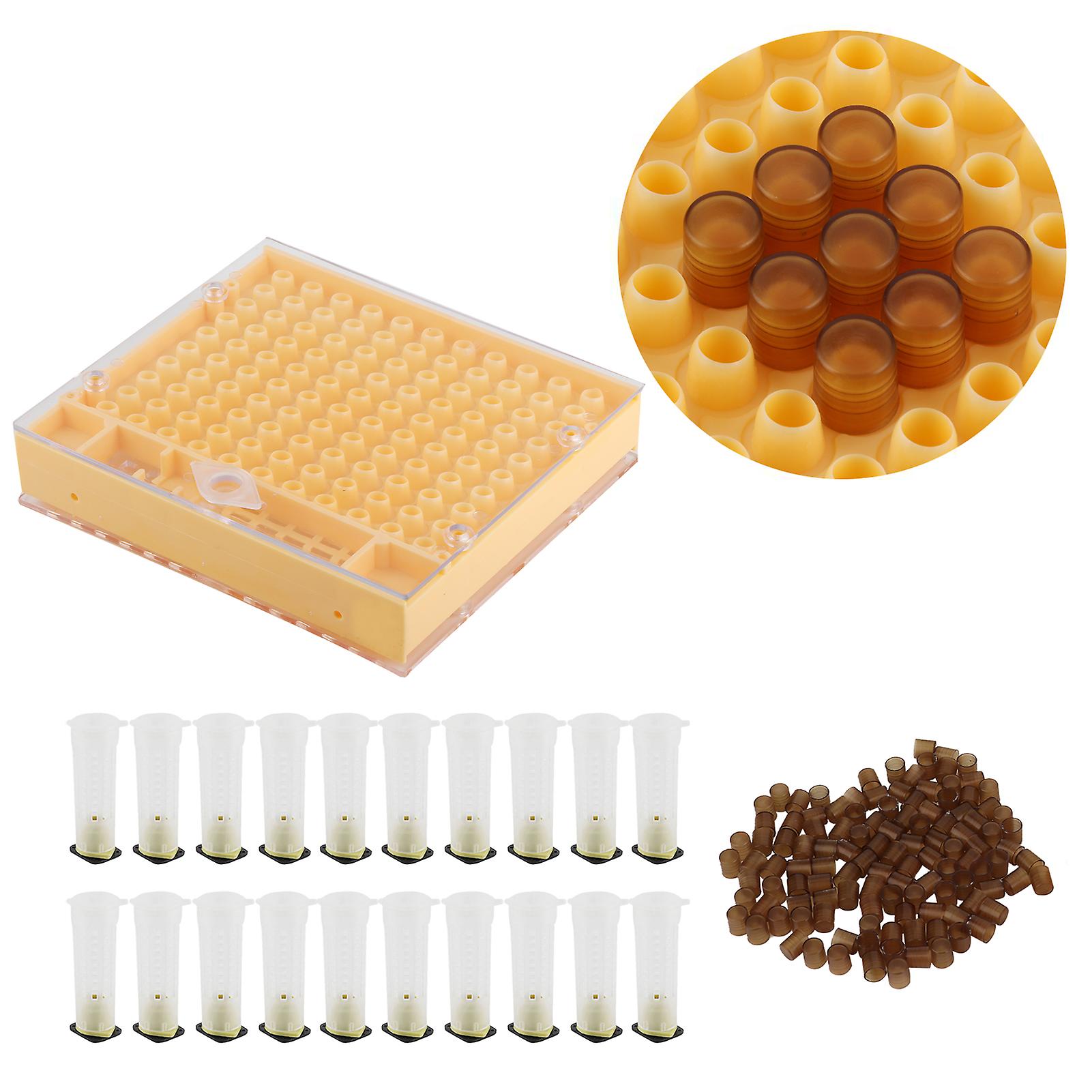 Queen Bee Rearing Box Cage Plastic Breeding Cell Kit 15x13x2cm