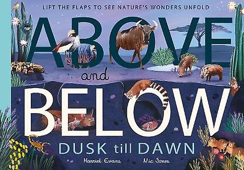 Above And Below Dusk Till Dawn by Harriet Evans Hardback Book