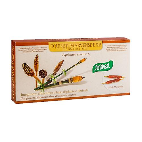 Equisetum arvense 12 ampoules