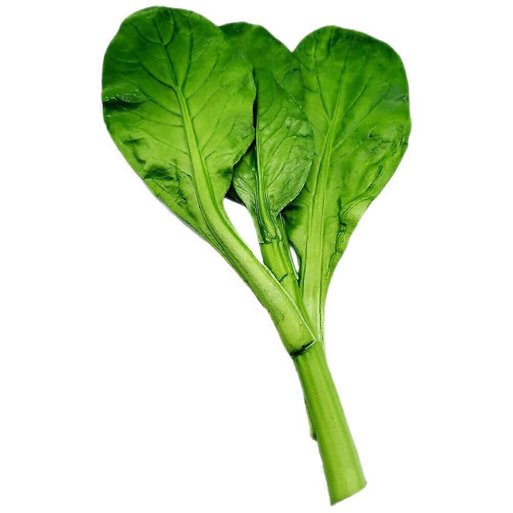 Fake Vegetable Decoration Artificial Vegetable Simulated Vegetable Model Showcase Display Prop