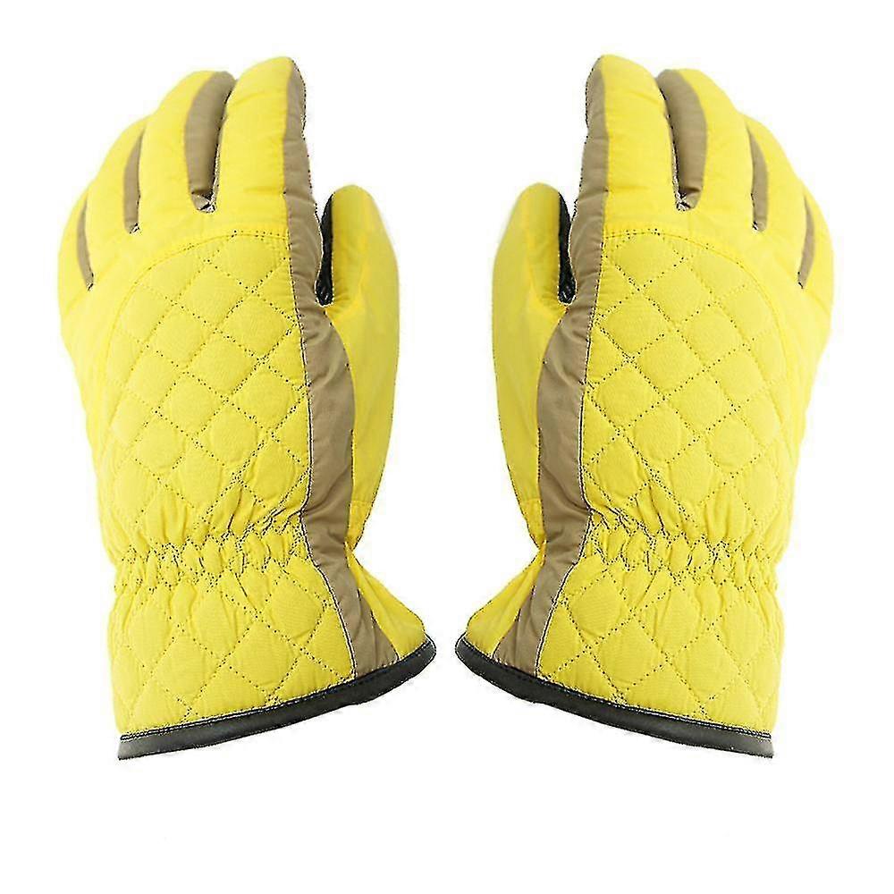 Ladies Mesh Simple Gants de ski dhiver impermables leau chaud coupe-vent