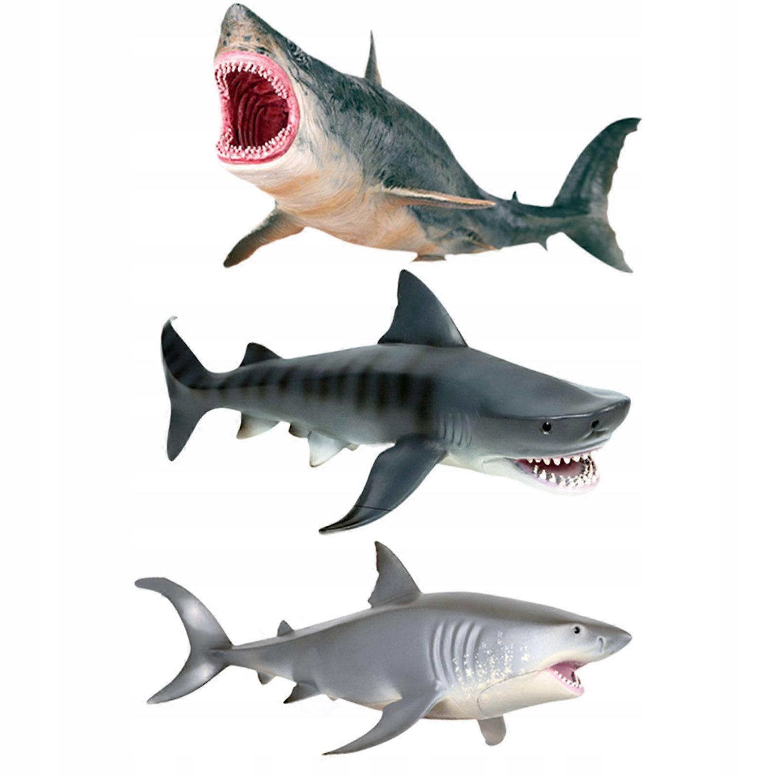 3x Realistic Marine Animal Playset Craft Project Model Science Educational