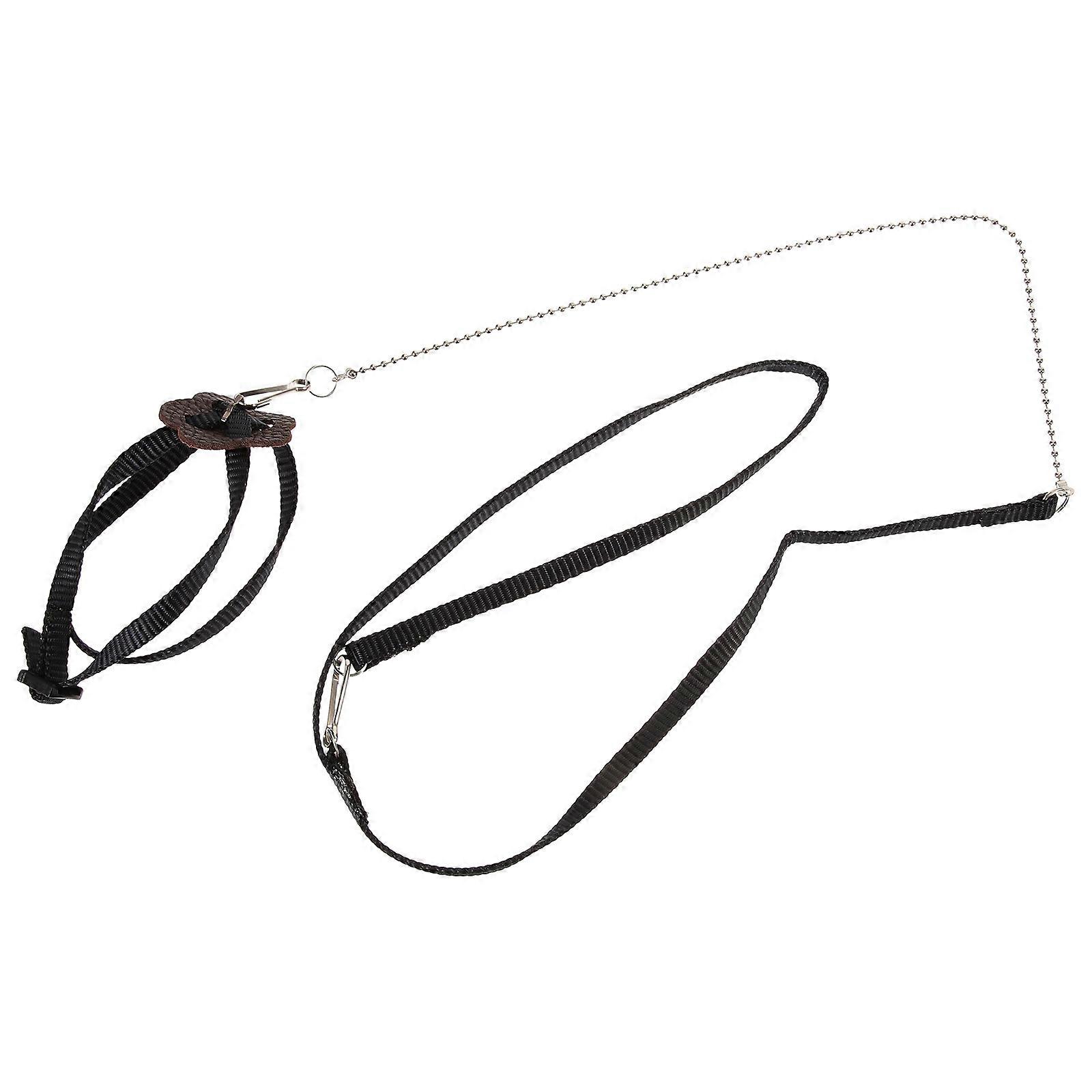 Secure Reptile Walking Lead for Turtle, Designed for Comfort and Durability