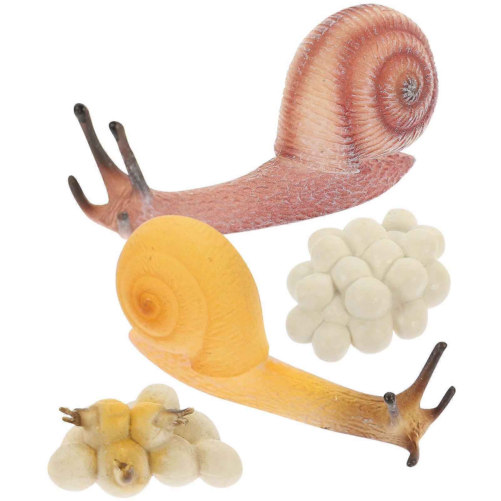 1 Set Snail Growth Simulation Educational Model for Nature Exploration and Fun Learning Play