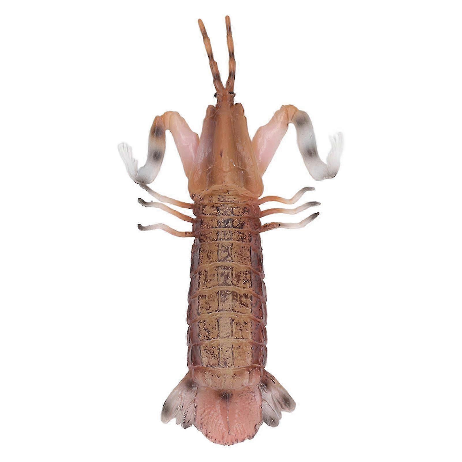2025 Mantis Shrimp Model Solid Vivid Simulation Shrimp Model for Children Toy Education Model