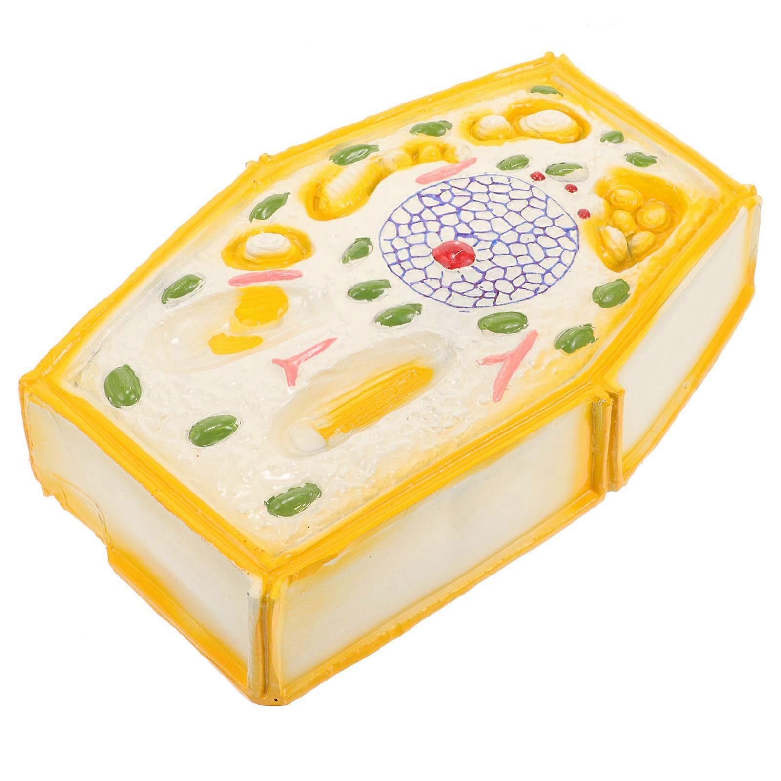 Plant Cell Model Biology Teaching Tool with 3Pcs for Classroom Education