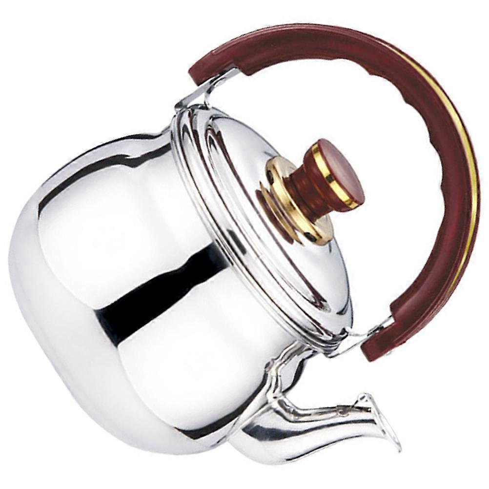 Stainless Steel Whistling Water Kettle for Boiling Household Use 5L