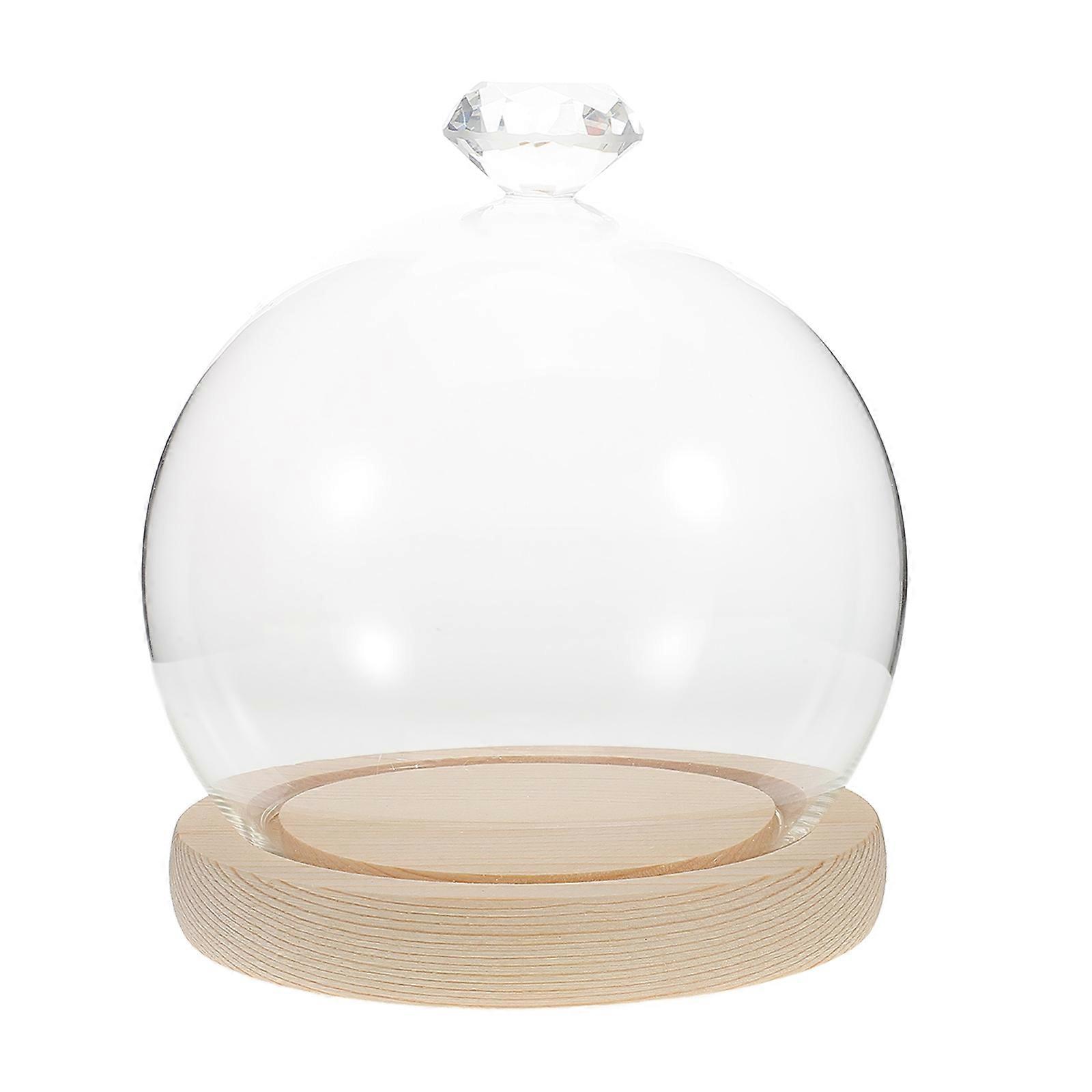 Glass Display Dome with Wood Base for Decoration 2Sets Cloche Display Case Globe