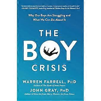 The Boy Crisis Why Our Boys Are Struggling and What We Can Do About It