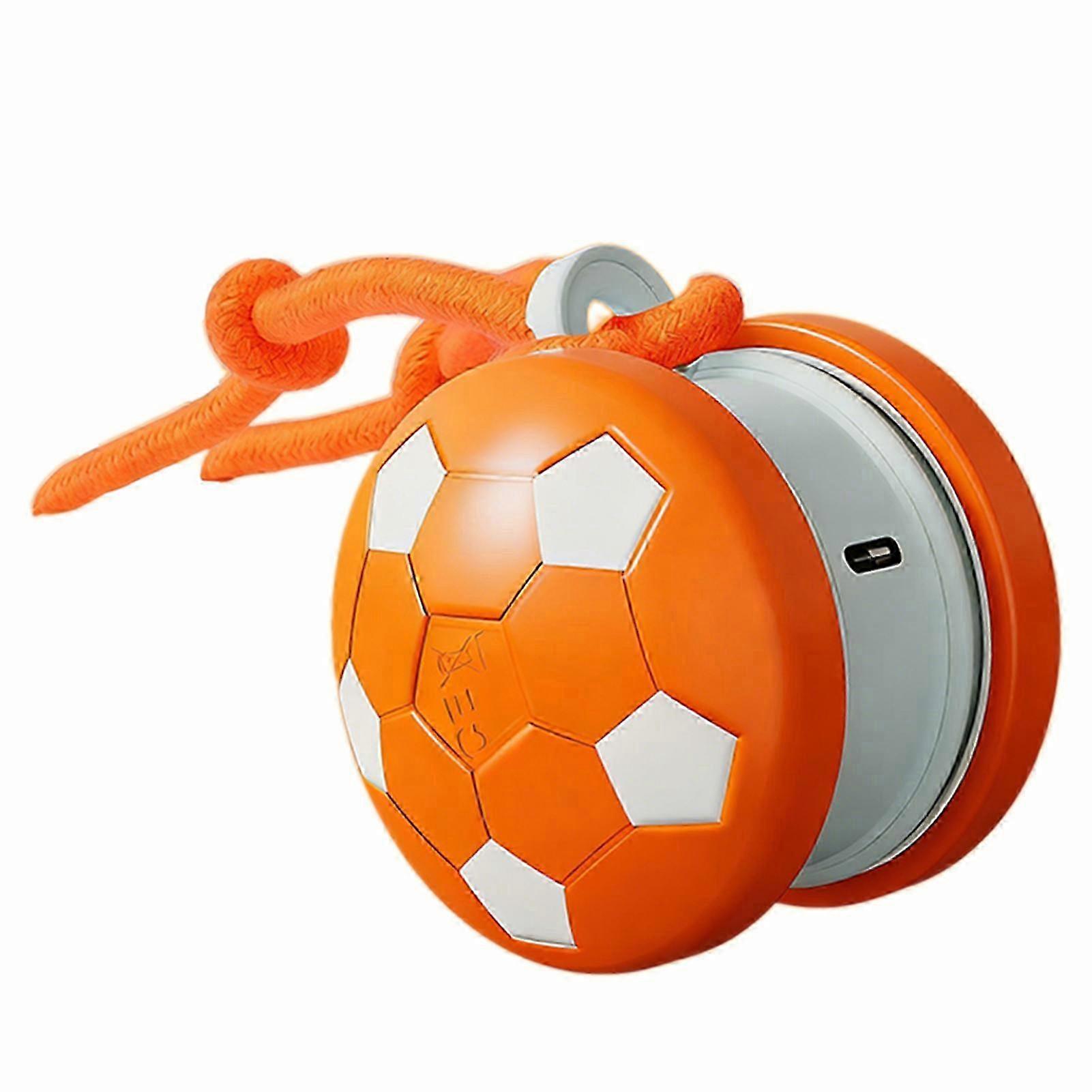 Autonomous Indoor Pet Play Ball