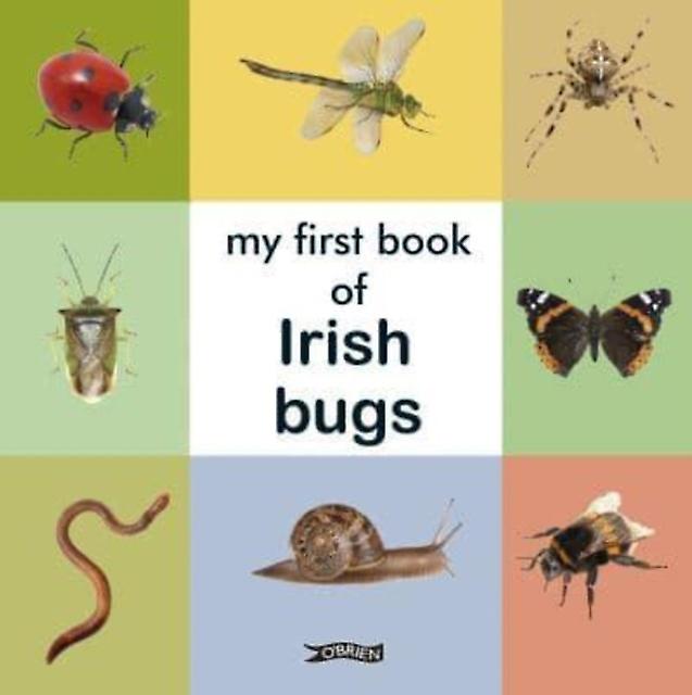 My First Book Of Irish Bugs Paperback Book