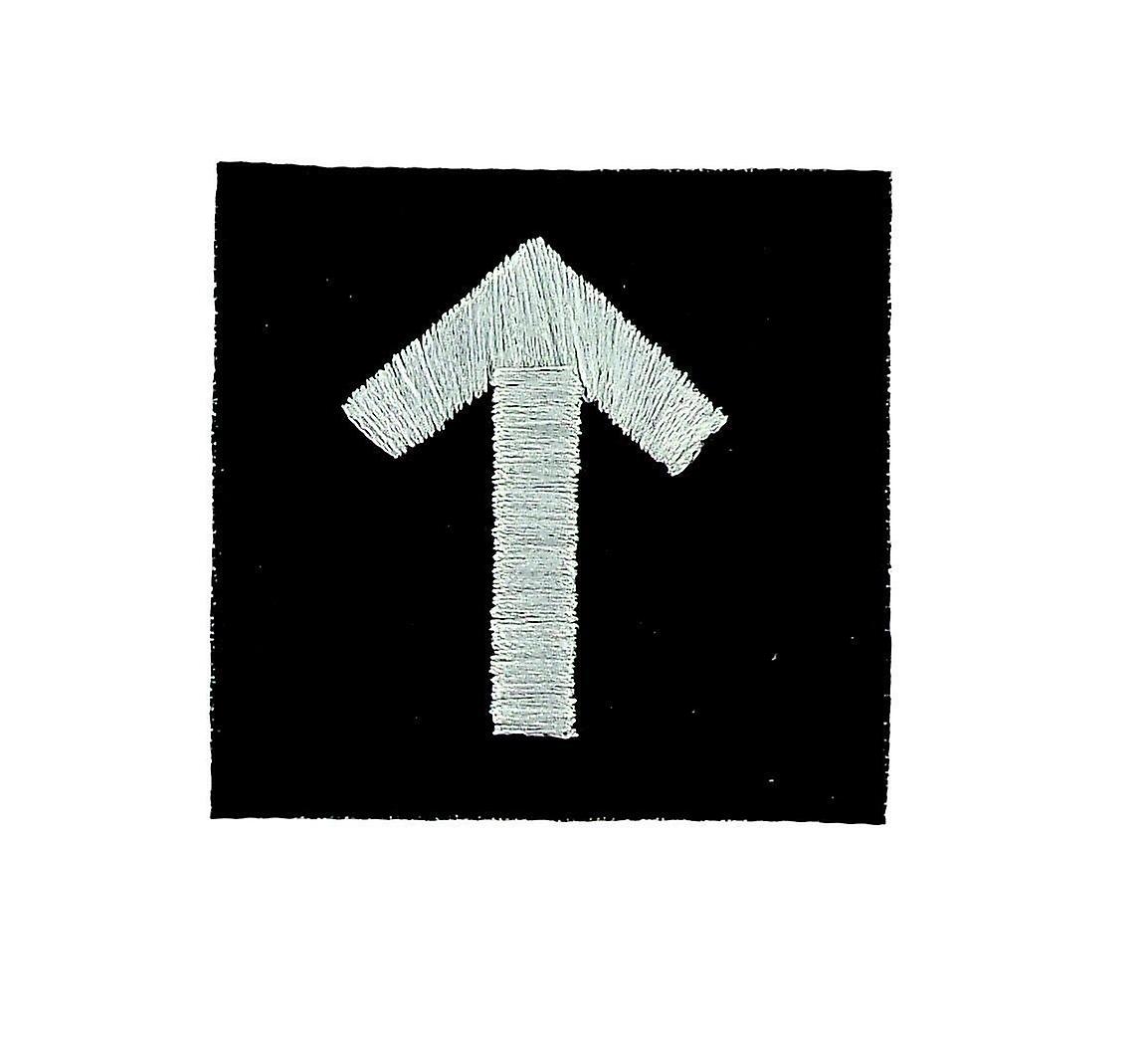 Patch Ecusson Brode Thermocollant Viking Odin Witchcraft Rune Alphabet Warrior