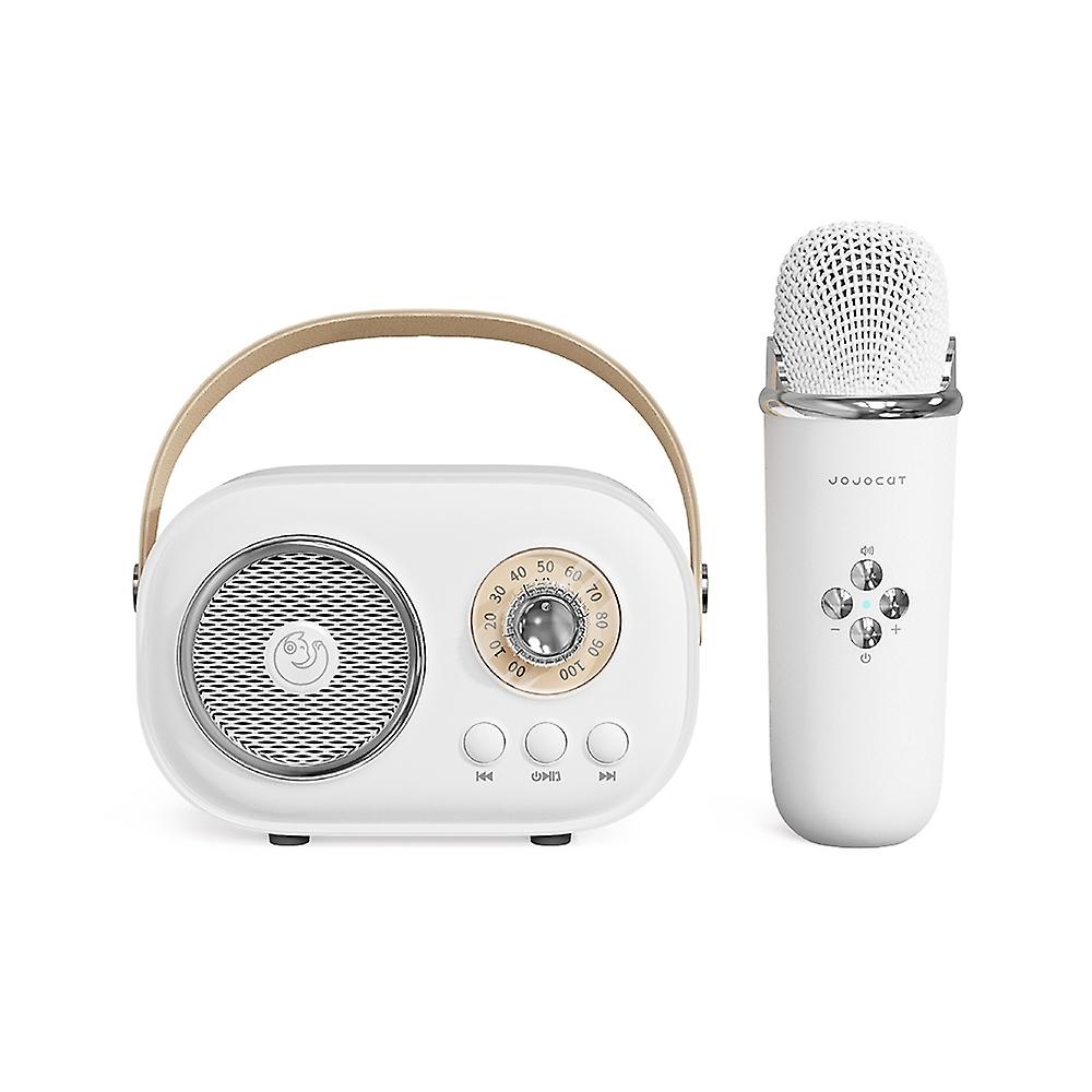 Multifunctional Karaoke Bluetooth Speake