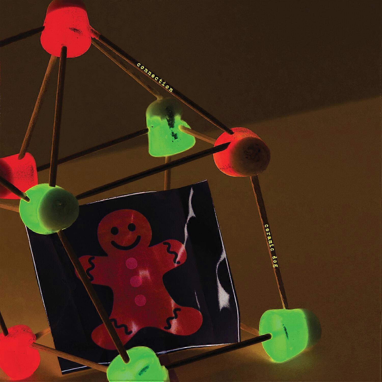 Marc Ribot - Anschluss [COMPACT DISCS] USA Import