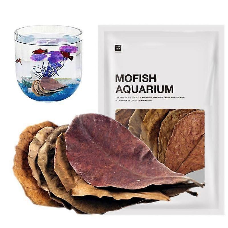 20 stk naturlige catappablader Indisk mandelblad for fisketanker Akvariumrengjøring Tørket blad for bedre habitat Betta avl