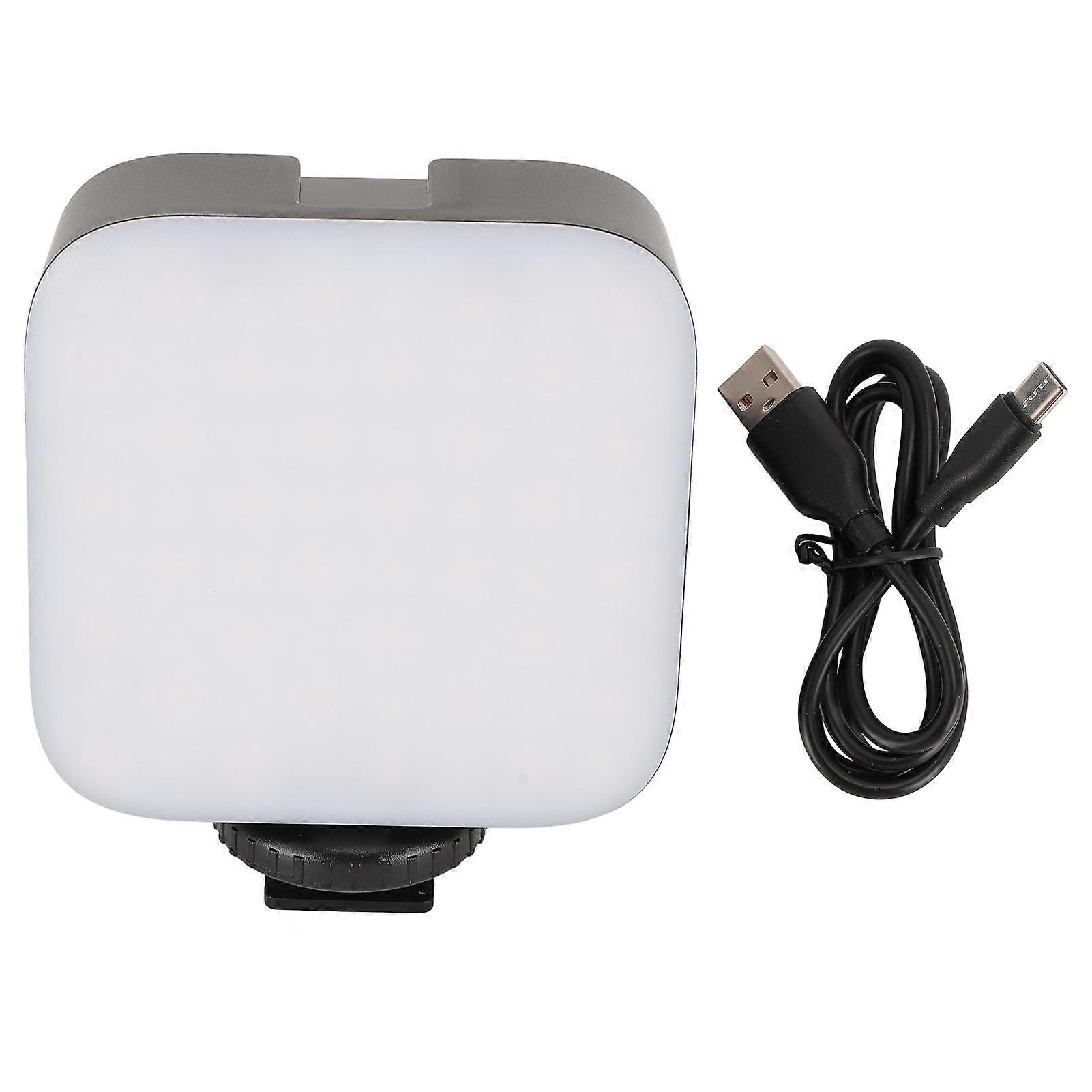 Rechargeable Phone & Camera Fill Light: Adjustable Brightness, Portable, 64 LED Beads