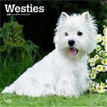 West Highland White Terriers 2026 Square Flap Calendar by BrownTrout Calendar Book