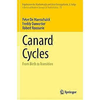 Canard Cycles From Birth To Transition - Peter De Maesschalck - Paperback - en Book