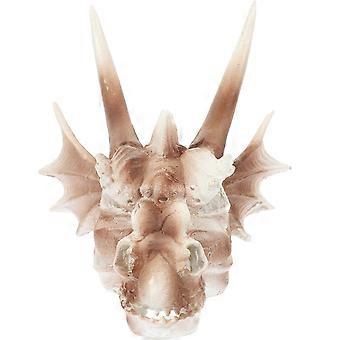 Akvariumdekorasjon Dinosaur Hodeskalle Ornament Tilbud Gjemmested