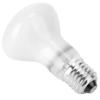 Reptile Tank Heating Lamp Provides for Pets