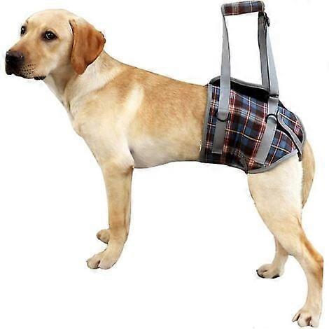 No-Pull Dog Mobility Support Vest