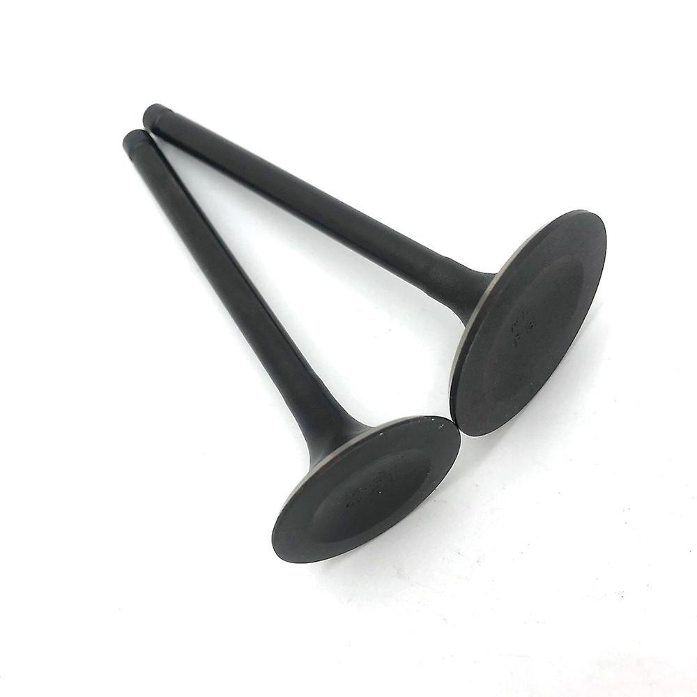 Js400 Lufteinlass- und Auslassventilsatz Einlassventile F3-110304-0, F3-110303-0 Jianshe 400cc ATV