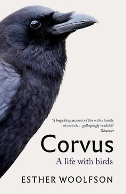 Corvus - Esther Woolfson - Paperback - English Book - Memoirs