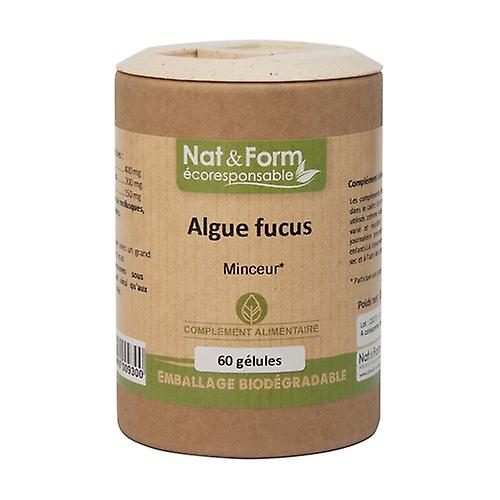 Fucus Algae - Eco Range 60 capsules