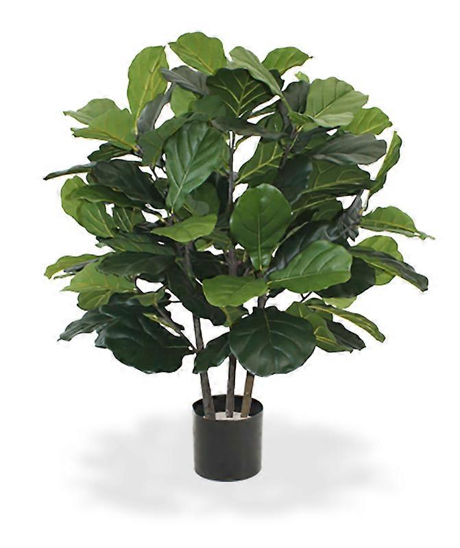Lyrata (95 cm)
