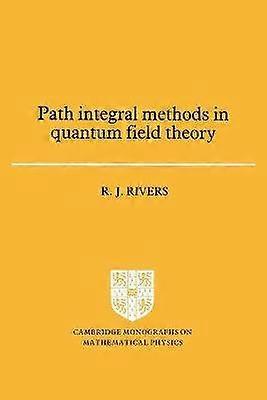 Path Integral Methods in Quantum Field Theory