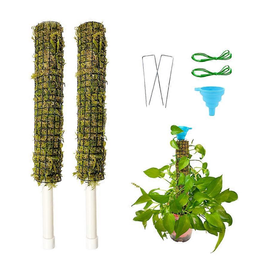 Extendable Moss Pole for All Growth Stages