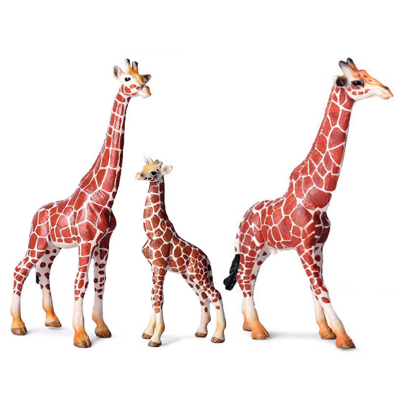 Realistic Giraffe Animal Model for Science Exhibits and Classrooms Wildlife Animal Model for Display and Collection