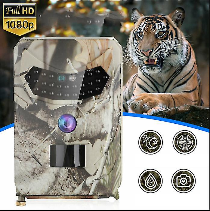 Hunting Trail Camera