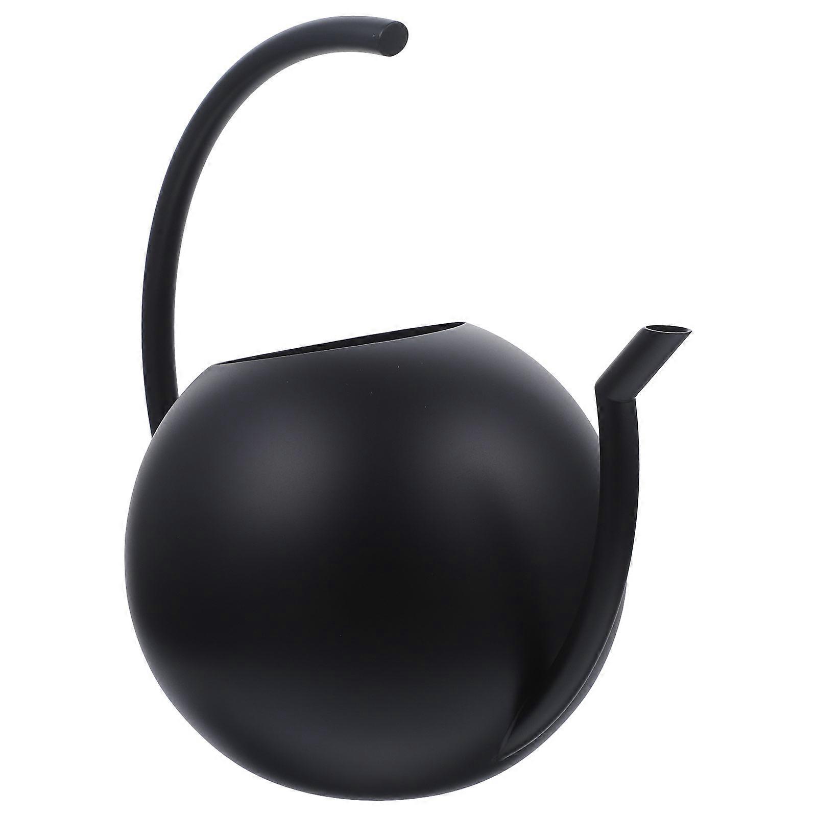 Gardening Useful Watering Can Indoor Plant Watering Metal Pot Black Ergonomic Handle 1Pack