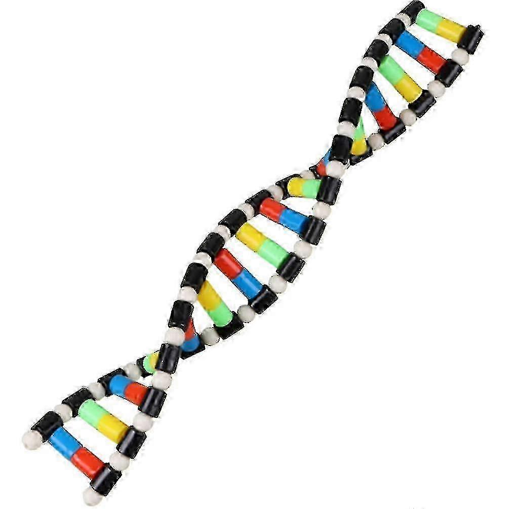 w Kids Toys,childrens Toys Kids Dna Model Kit, Double Helix Model Dna Display Component For Science Teaching Display Watson Crick Model