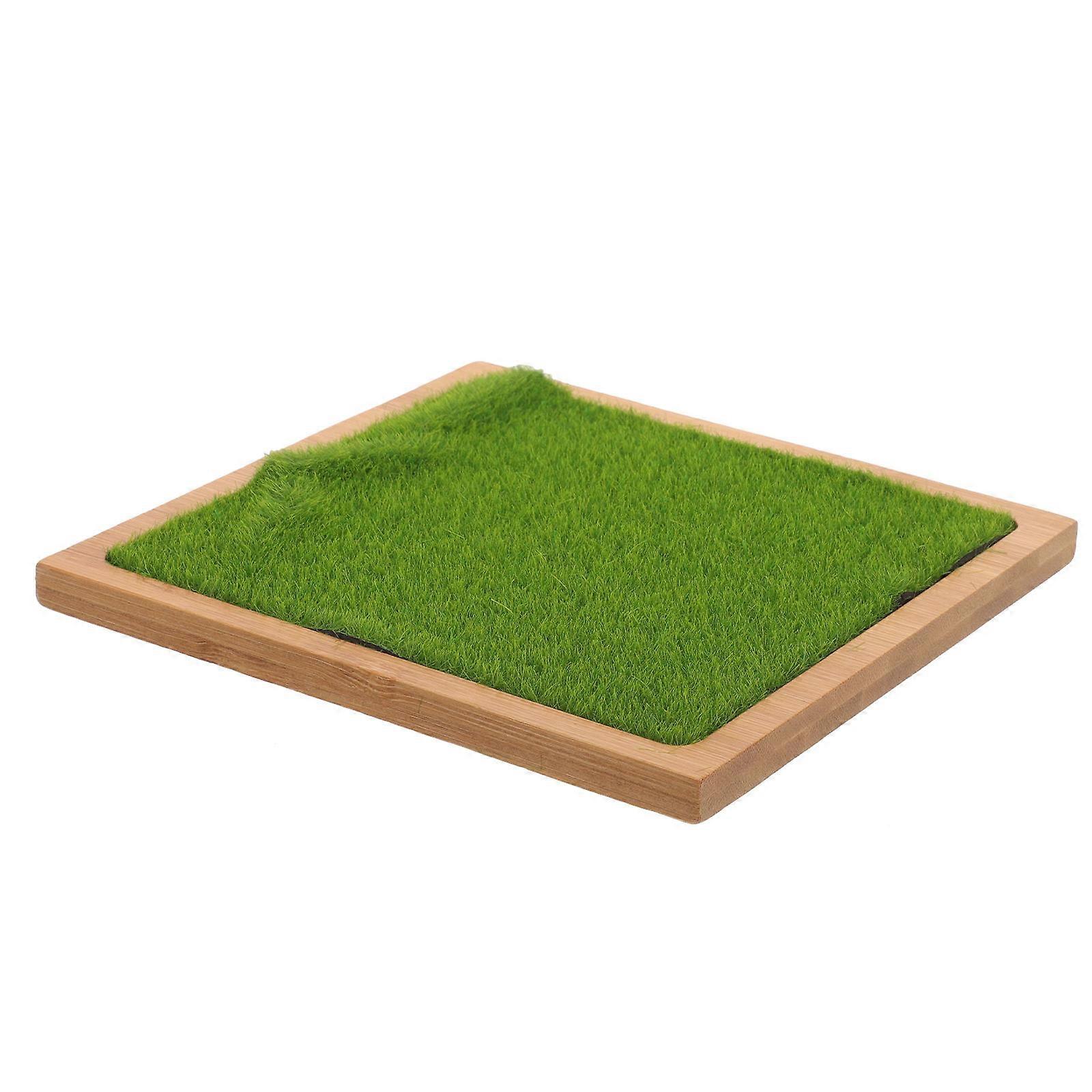 Desktop Display Stand Grass Figures Stand for Decor