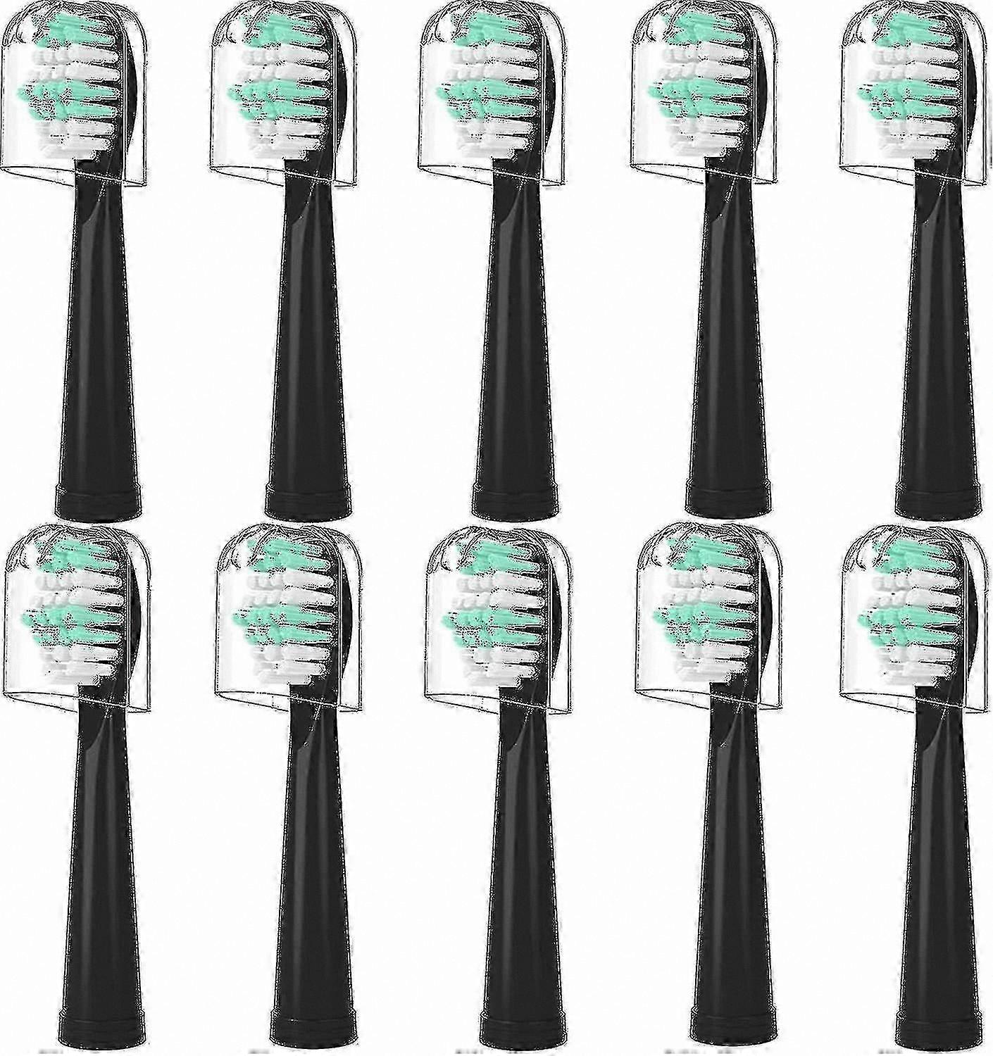 10-Pack Replacement Heads for Electric Toothbrush Handles Compatible with Multiple Models