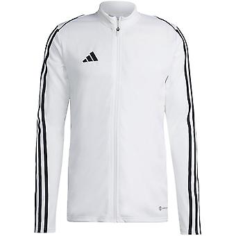 Adidas Tiro 23 League Training HS3501 treinando homens durante todo o ano