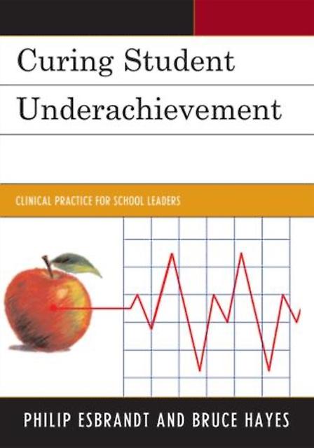 Curing Student Underachievement by Bruce Hayes Paperback Book